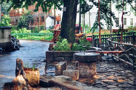 eceb2070e9f56ef4a9cd2fe7a335ba8